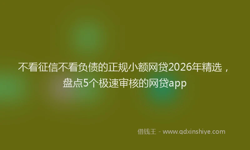 不看征信不看负债的正规小额网贷2026年精选，盘点5个极速审核的网贷app
