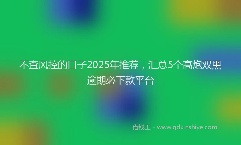 不查风控的口子2025年推荐，汇总5个高炮双黑逾期必下款平台