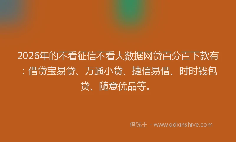 2026年的不看征信不看大数据网贷百分百下款有：借贷宝易贷、万通小贷、捷信易借、时时钱包贷、随意优品等。
