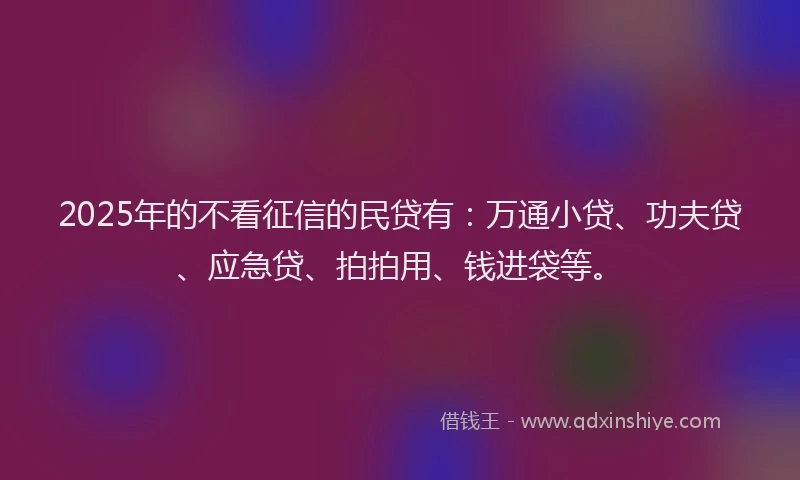 2025年的不看征信的民贷有：万通小贷、功夫贷、应急贷、拍拍用、钱进袋等。
