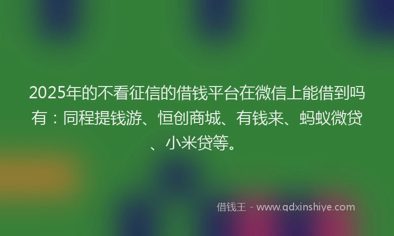 2025年的不看征信的借钱平台在微信上能借到吗有：同程提钱游、恒创商城、有钱来、蚂蚁微贷、小米贷等。