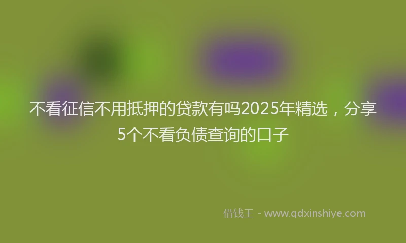 不看征信不用抵押的贷款有吗2025年精选，分享5个不看负债查询的口子