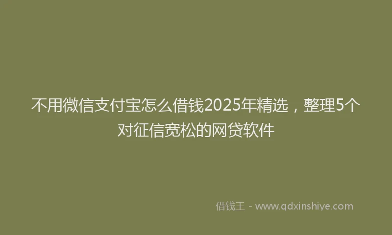 不用微信支付宝怎么借钱2025年精选,整理5个对征信宽松的网贷软件