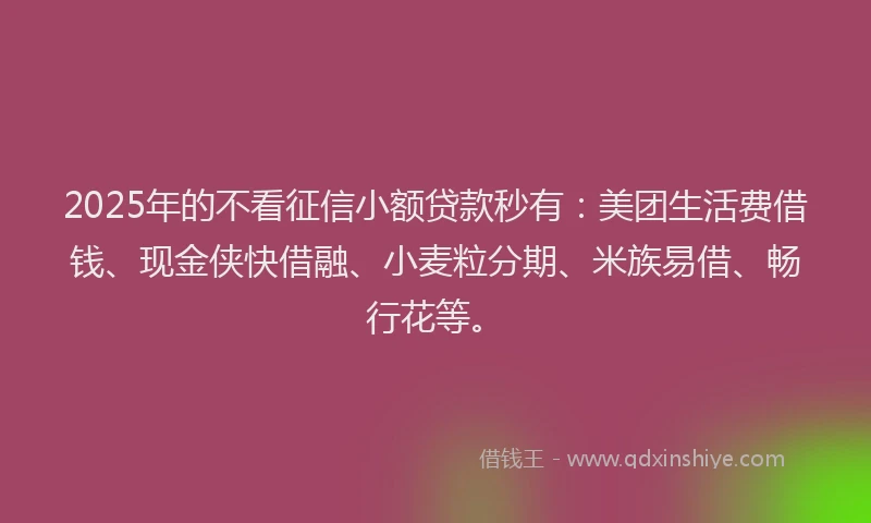 2025年的不看征信小额贷款秒有：美团生活费借钱、现金侠快借融、小麦粒分期、米族易借、畅行花等。