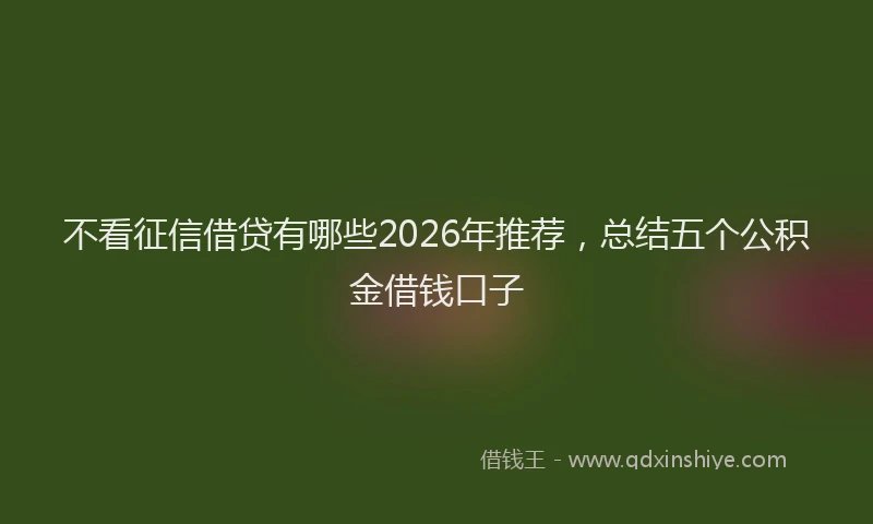 不看征信借贷有哪些2026年推荐，总结五个公积金借钱口子