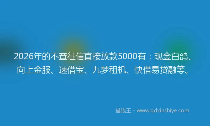 2026年的不查征信直接放款5000有：现金白鸽、向上金服、速借宝、九梦租机、快借易贷融等。