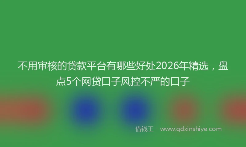 不用审核的贷款平台有哪些好处2026年精选，盘点5个网贷口子风控不严的口子