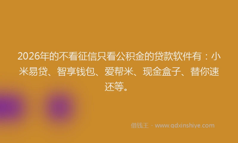 2026年的不看征信只看公积金的贷款软件有：小米易贷、智享钱包、爱帮米、现金盒子、替你速还等。