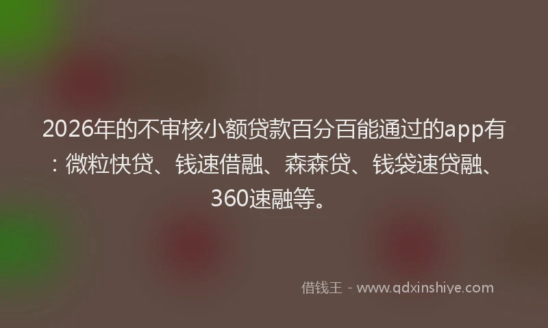 2026年的不审核小额贷款百分百能通过的app有：微粒快贷、钱速借融、森森贷、钱袋速贷融、360速融等。