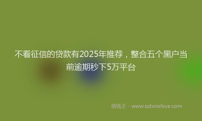 不看征信的贷款有2025年推荐，整合五个黑户当前逾期秒下5万平台