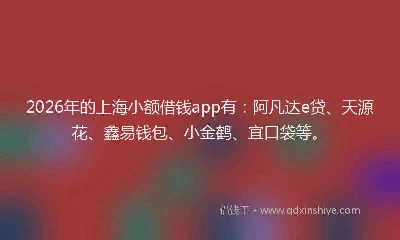 2026年的上海小额借钱app有：阿凡达e贷、天源花、鑫易钱包、小金鹤、宜口袋等。