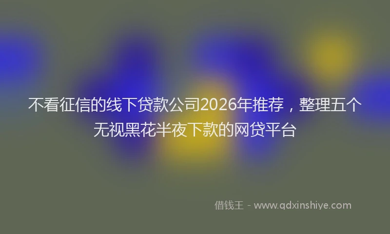 不看征信的线下贷款公司2026年推荐，整理五个无视黑花半夜下款的网贷平台
