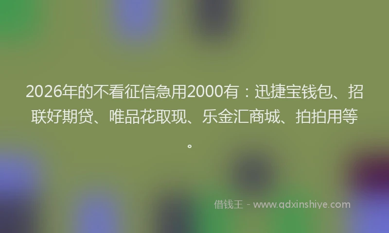 2026年的不看征信急用2000有：迅捷宝钱包、招联好期贷、唯品花取现、乐金汇商城、拍拍用等。