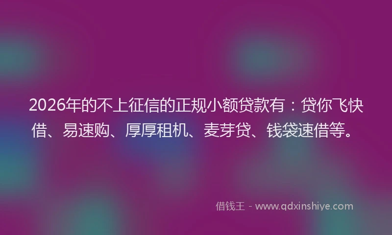 2026年的不上征信的正规小额贷款有:贷你飞快借、易速购、厚厚租机、麦芽贷、钱袋速借等。
