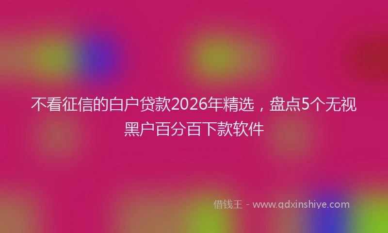 不看征信的白户贷款2026年精选，盘点5个无视黑户百分百下款软件