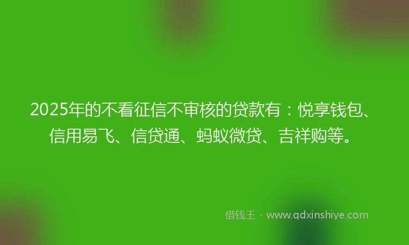 2025年的不看征信不审核的贷款有：悦享钱包、信用易飞、信贷通、蚂蚁微贷、吉祥购等。