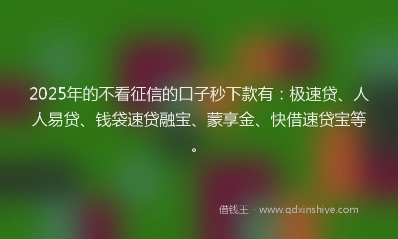 2025年的不看征信的口子秒下款有：极速贷、人人易贷、钱袋速贷融宝、蒙享金、快借速贷宝等。