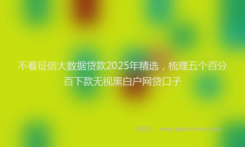 不看征信大数据贷款2025年精选，梳理五个百分百下款无视黑白户网贷口子