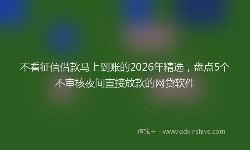 不看征信借款马上到账的2026年精选，盘点5个不审核夜间直接放款的网贷软件