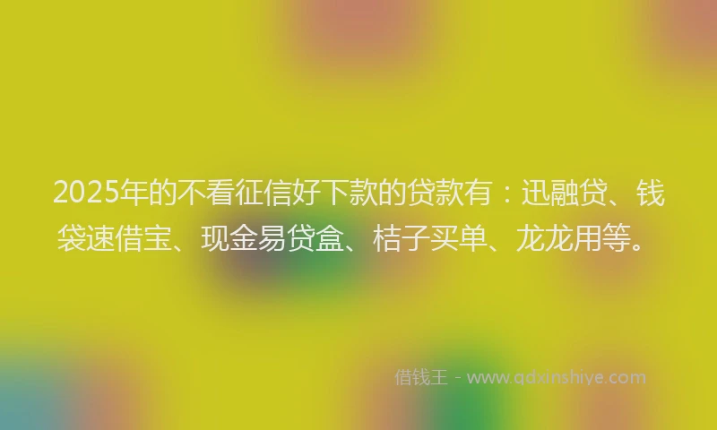 2025年的不看征信好下款的贷款有:迅融贷、钱袋速借宝、现金易贷盒、桔子买单、龙龙用等。