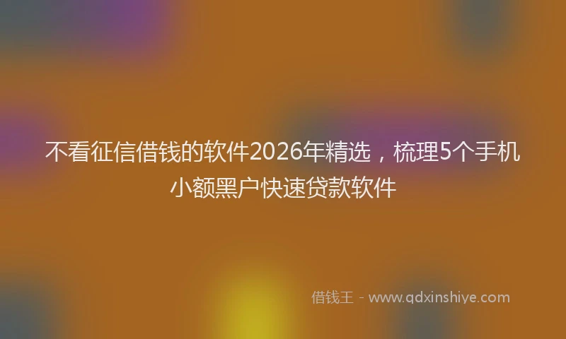 不看征信借钱的软件2026年精选，梳理5个手机小额黑户快速贷款软件