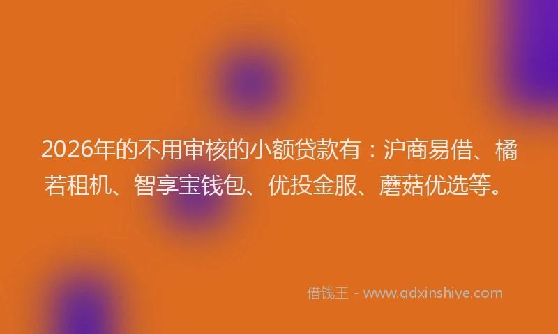 2026年的不用审核的小额贷款有：沪商易借、橘若租机、智享宝钱包、优投金服、蘑菇优选等。