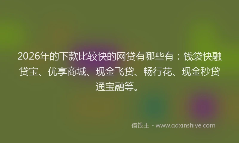2026年的下款比较快的网贷有哪些有：钱袋快融贷宝、优享商城、现金飞贷、畅行花、现金秒贷通宝融等。