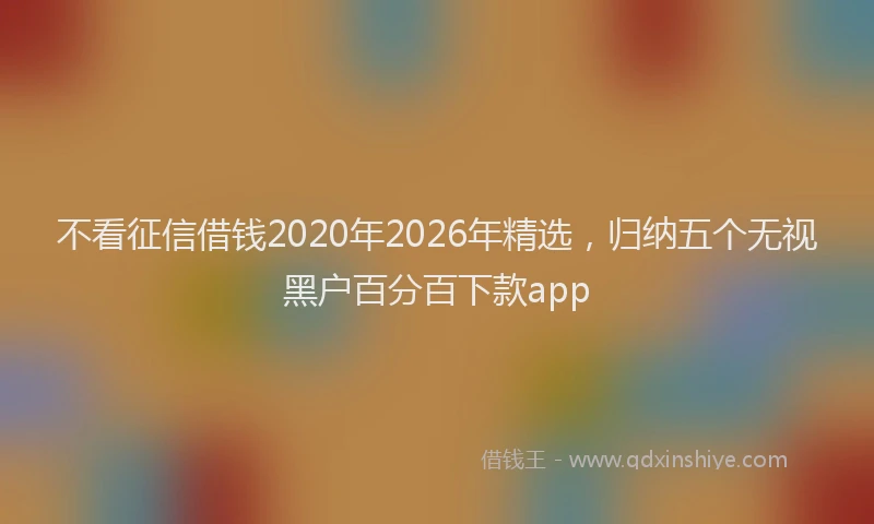 不看征信借钱2020年2026年精选，归纳五个无视黑户百分百下款app
