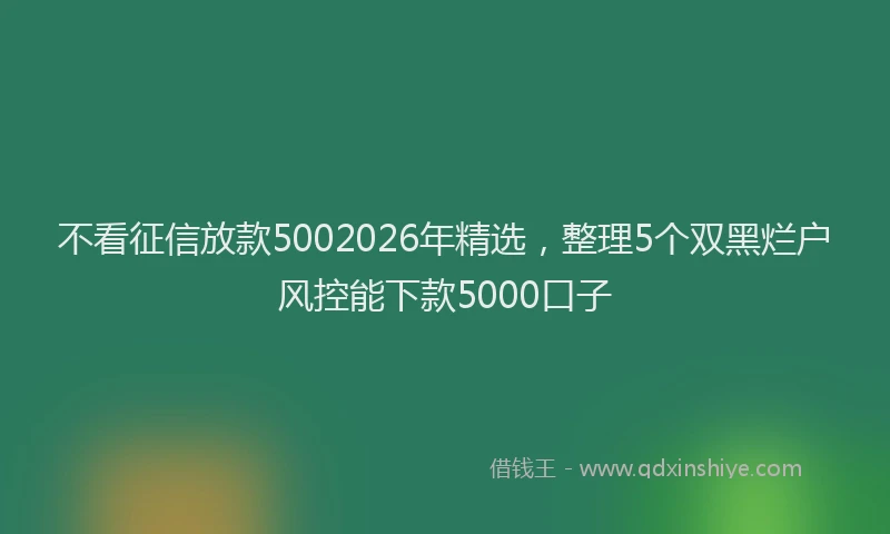 不看征信放款5002026年精选，整理5个双黑烂户风控能下款5000口子