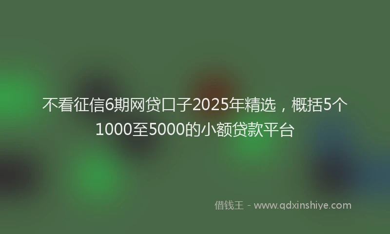 不看征信6期网贷口子2025年精选,概括5个1000至5000的小额贷款平台