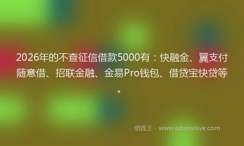 2026年的不查征信借款5000有：快融金、翼支付随意借、招联金融、金易Pro钱包、借贷宝快贷等。