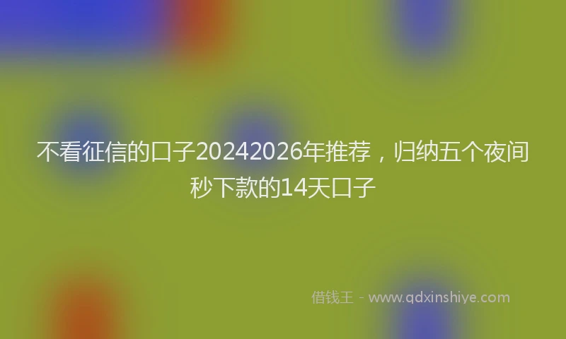 不看征信的口子20242026年推荐,归纳五个夜间秒下款的14天口子