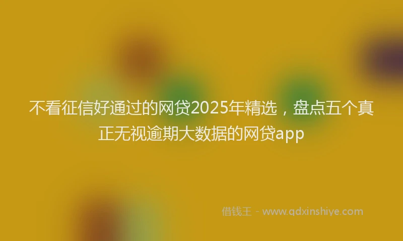 不看征信好通过的网贷2025年精选,盘点五个真正无视逾期大数据的网贷app