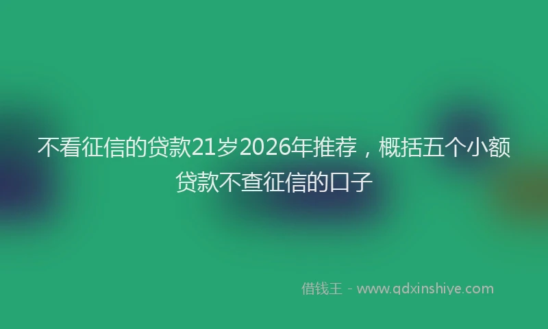 不看征信的贷款21岁2026年推荐，概括五个小额贷款不查征信的口子