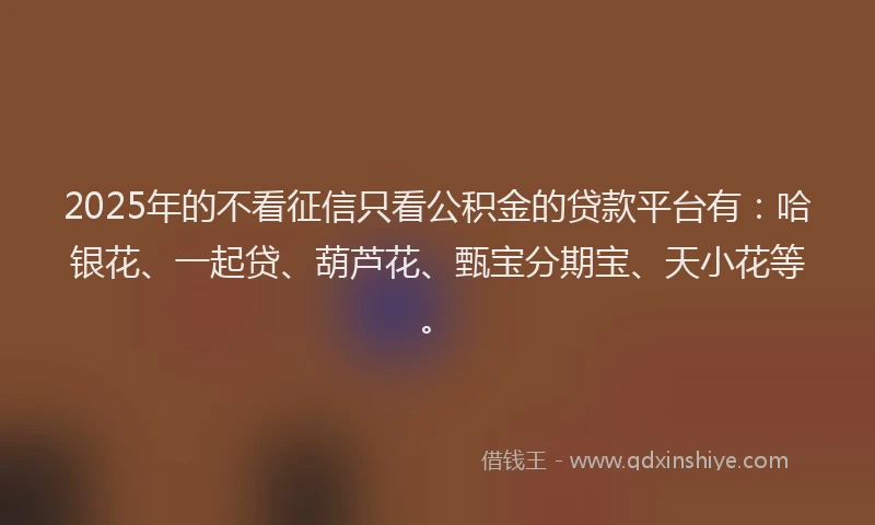 2025年的不看征信只看公积金的贷款平台有：哈银花、一起贷、葫芦花、甄宝分期宝、天小花等。