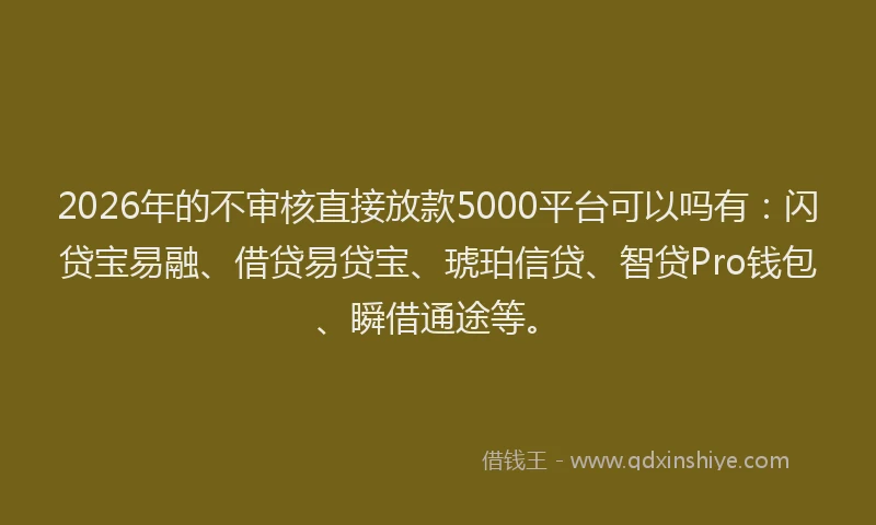 2026年的不审核直接放款5000平台可以吗有:闪贷宝易融、借贷易贷宝、琥珀信贷、智贷Pro钱包、瞬借通途等。