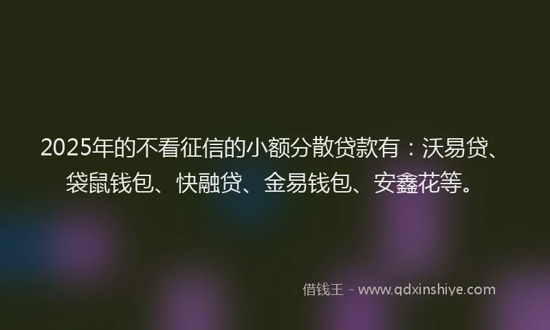 2025年的不看征信的小额分散贷款有：沃易贷、袋鼠钱包、快融贷、金易钱包、安鑫花等。
