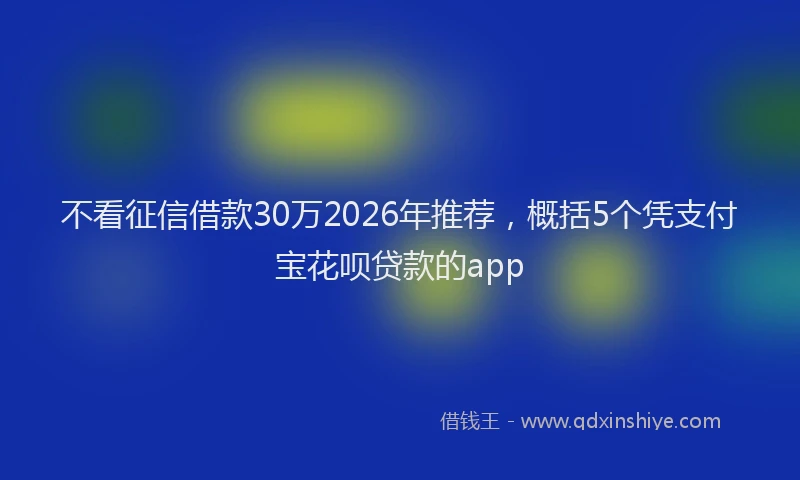 不看征信借款30万2026年推荐，概括5个凭支付宝花呗贷款的app