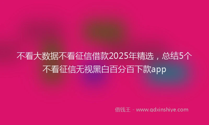 不看大数据不看征信借款2025年精选，总结5个不看征信无视黑白百分百下款app
