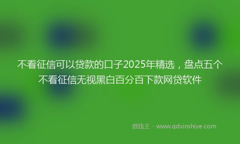 不看征信可以贷款的口子2025年精选，盘点五个不看征信无视黑白百分百下款网贷软件
