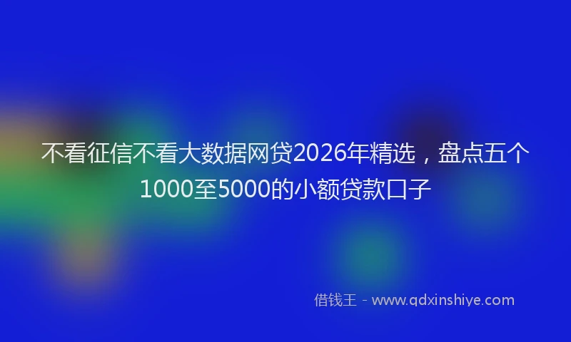 不看征信不看大数据网贷2026年精选，盘点五个1000至5000的小额贷款口子