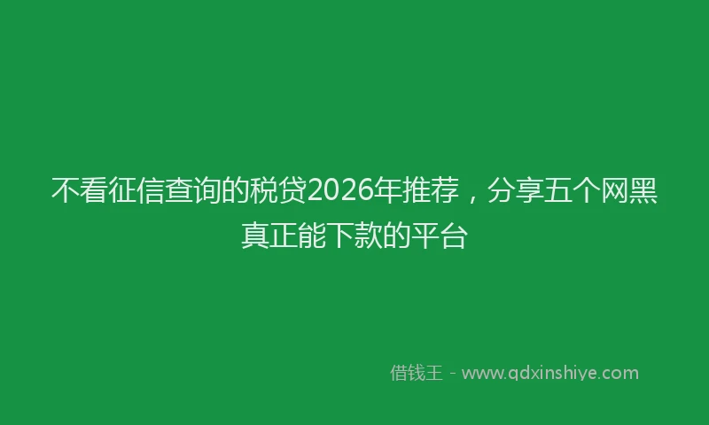 不看征信查询的税贷2026年推荐，分享五个网黑真正能下款的平台