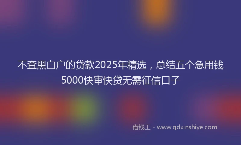 不查黑白户的贷款2025年精选,总结五个急用钱5000快审快贷无需征信口子