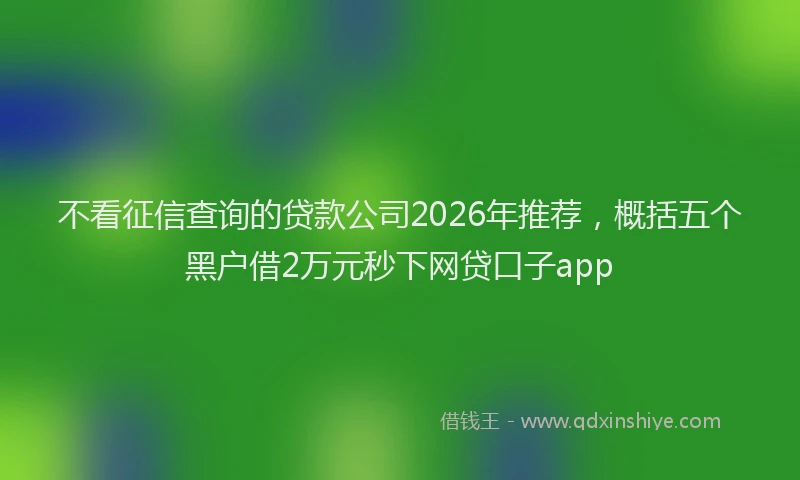 不看征信查询的贷款公司2026年推荐，概括五个黑户借2万元秒下网贷口子app