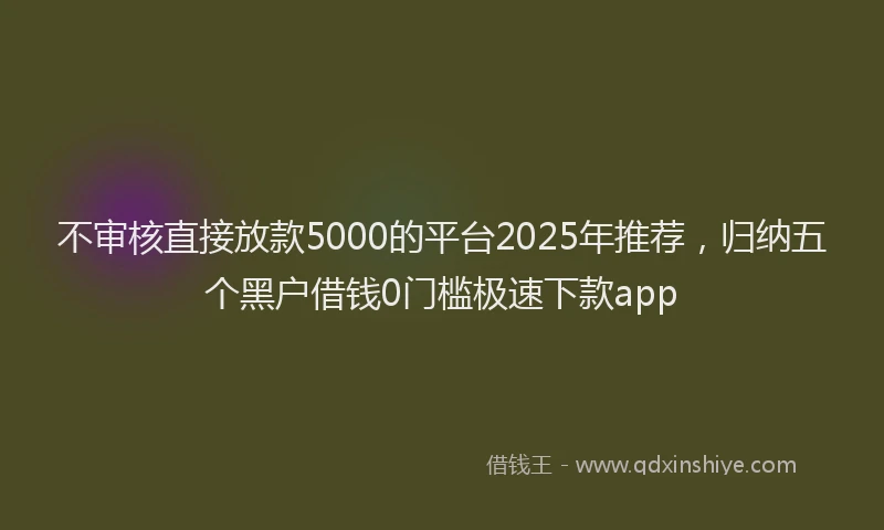 不审核直接放款5000的平台2025年推荐，归纳五个黑户借钱0门槛极速下款app