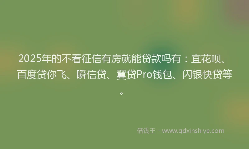 2025年的不看征信有房就能贷款吗有：宜花呗、百度贷你飞、瞬信贷、翼贷Pro钱包、闪银快贷等。