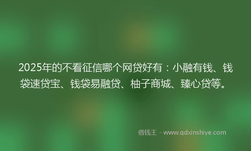 2025年的不看征信哪个网贷好有：小融有钱、钱袋速贷宝、钱袋易融贷、柚子商城、臻心贷等。