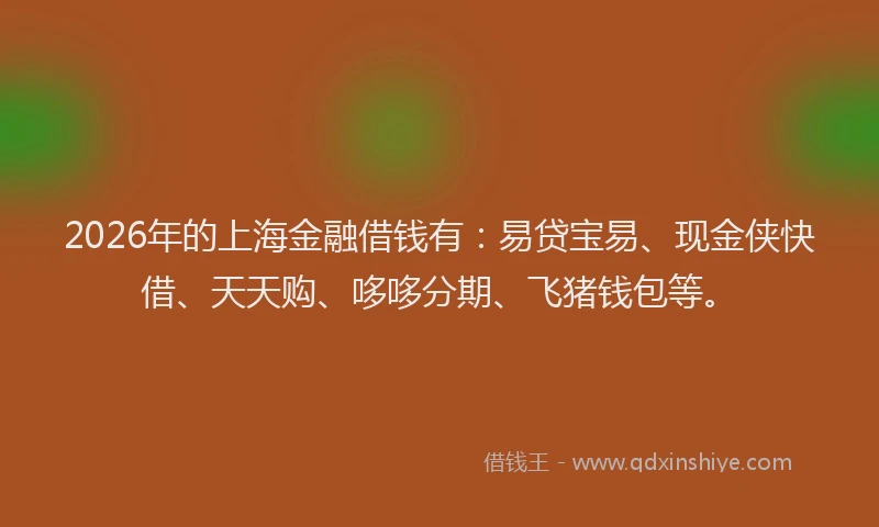 2026年的上海金融借钱有：易贷宝易、现金侠快借、天天购、哆哆分期、飞猪钱包等。