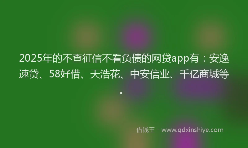 2025年的不查征信不看负债的网贷app有：安逸速贷、58好借、天浩花、中安信业、千亿商城等。