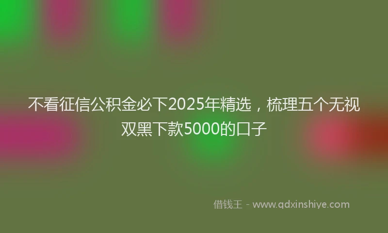 不看征信公积金必下2025年精选，梳理五个无视双黑下款5000的口子